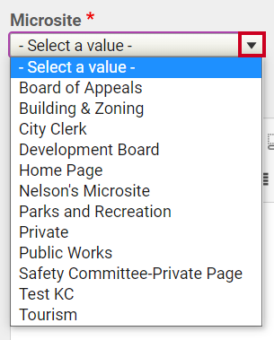 Basic Information Microsite