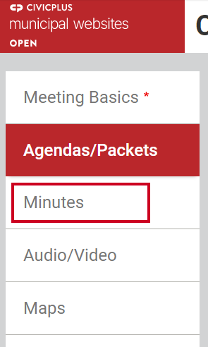 The tab labeled Minutes, third from the top.
