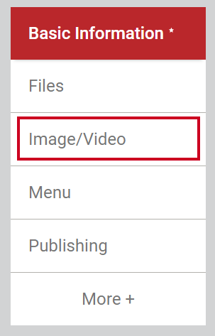 The tab labeled Image or Image slash Video.