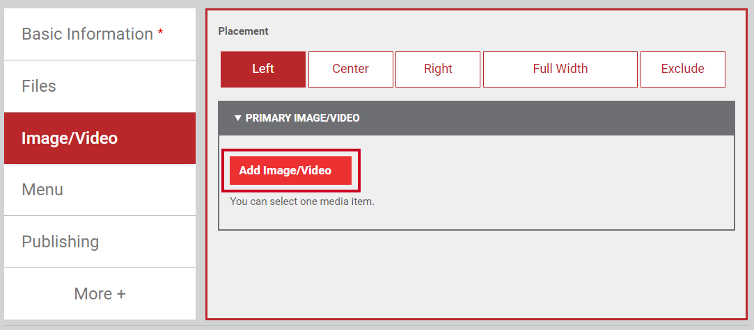 The button labeled either Add Video or Add Image slash Video.