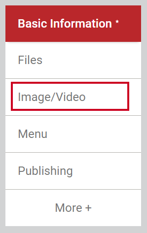 The tab labeled either Video or Image slash Video.