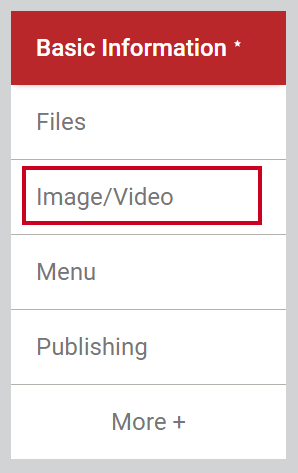 The tab labeled either Video, or Image slash Video.