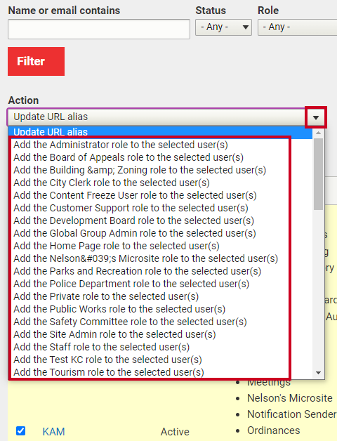 The drop down menu labeled 'Action'.