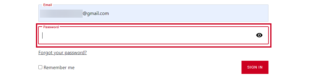 The text entry field labeled Password.