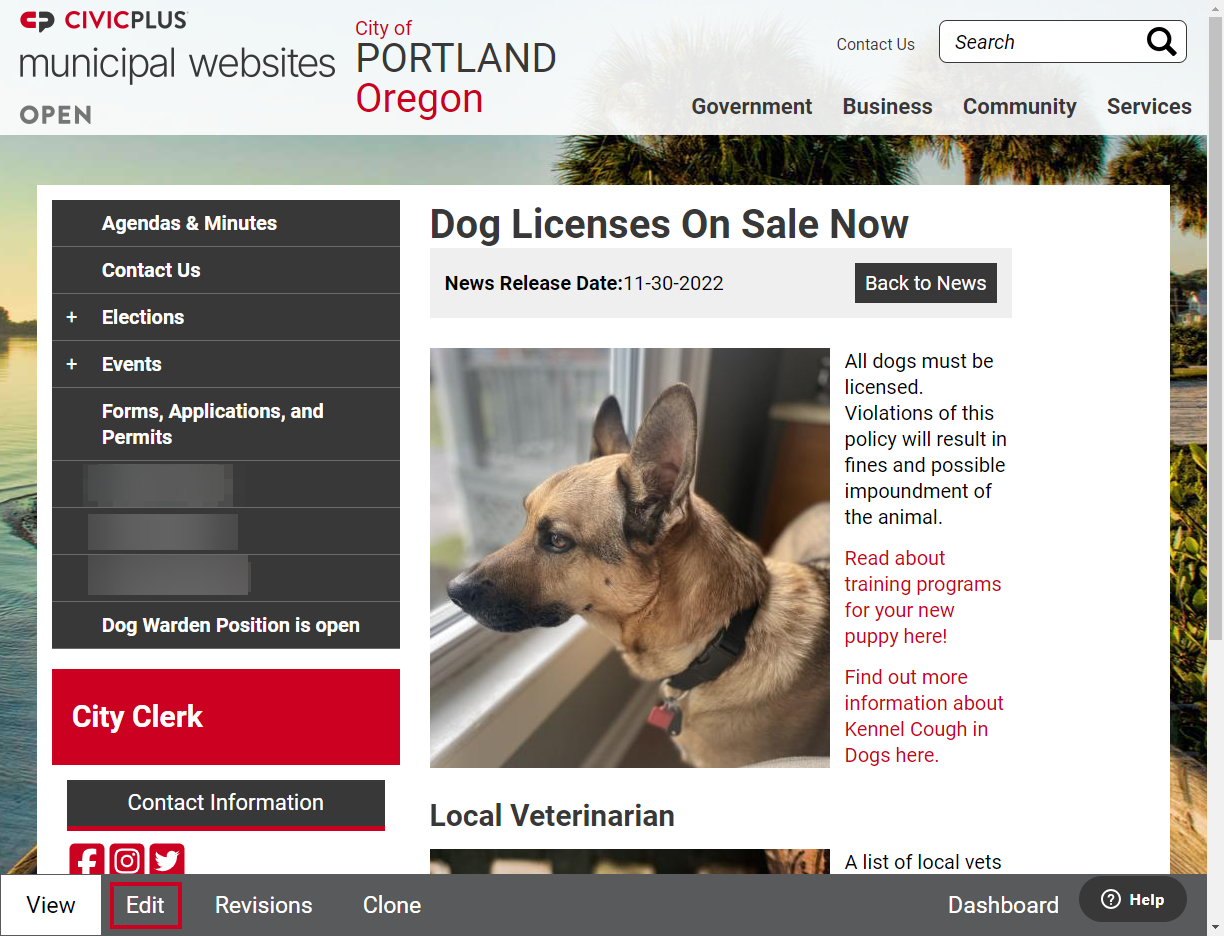 The button labeled Edit in the bottom left corner of the page, to the right of the View button.