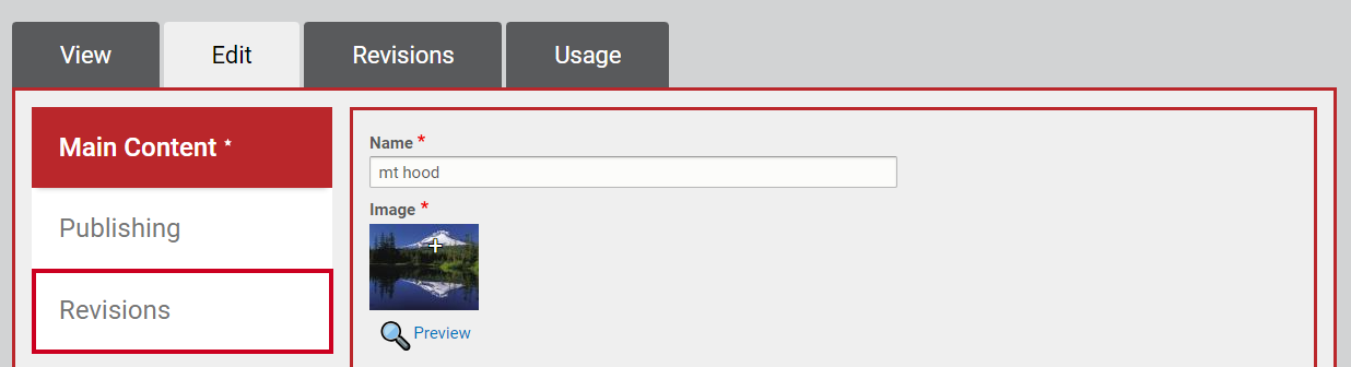 The bottom tab of the left-hand navigation labeled Revisions.