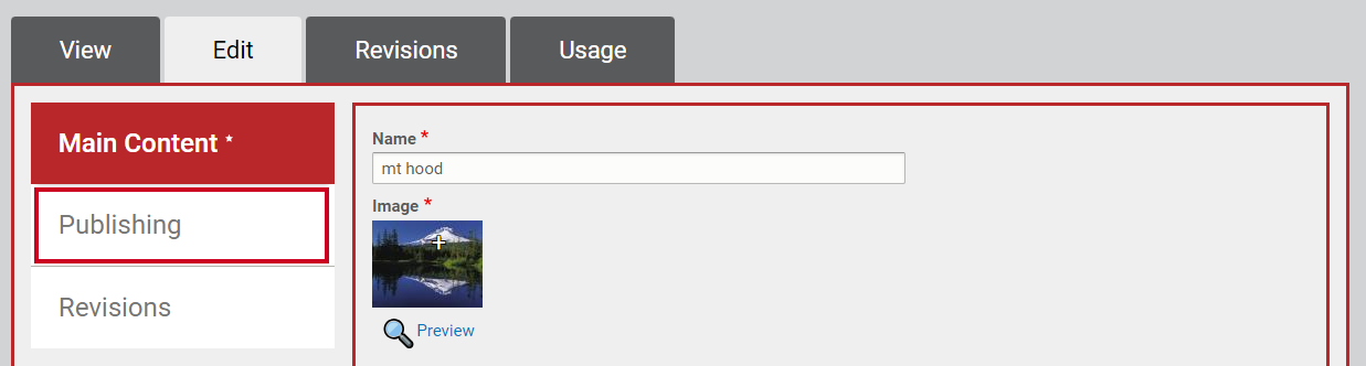 The left-hand navigation tab labeled Publishing, below the tab labeled Main Content.