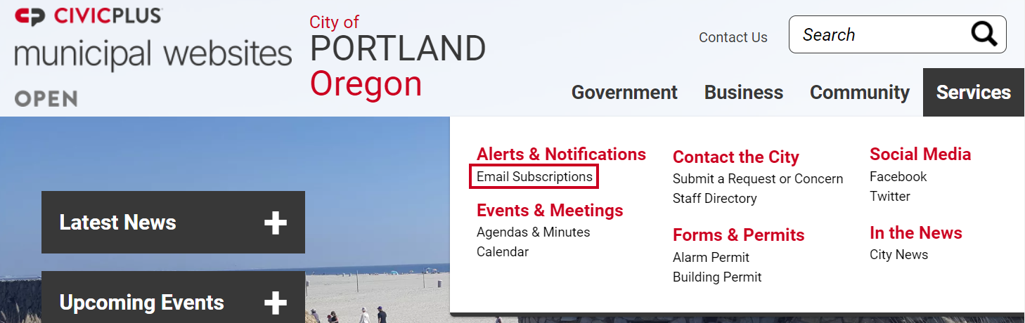 The URL labeled Email Subscriptions beneath the Alerts and Notifications header.