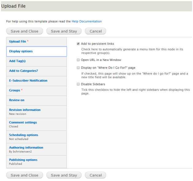 The toggle checkboxes in the Display options tab.