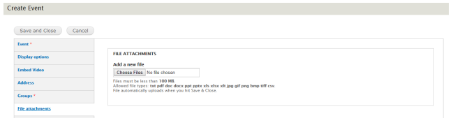 An example image of the File attachments tab.