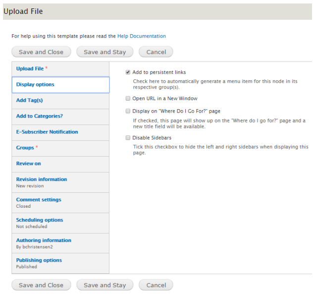 An example image of the Display Options tab.