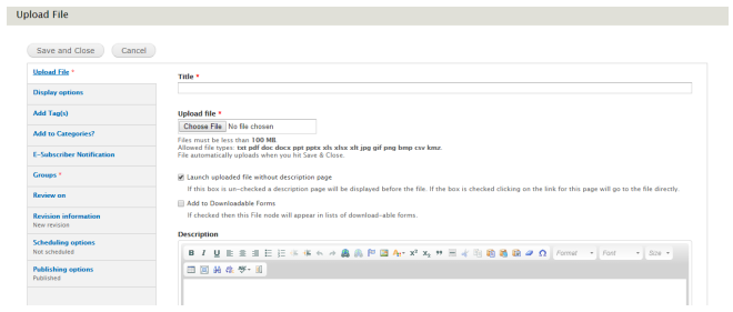 An example image of the Upload File tab.
