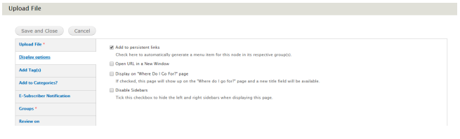 An example image of the Display Options tab.